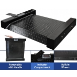 Cân điện tử 3 tấn, Can dien tu 3 tan - image1